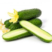 Гавриш Фермерская Огурец Киборг F1 20 шт 