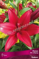 Лилия ЛА-Гибрид Евфрат (14/16) 2 шт