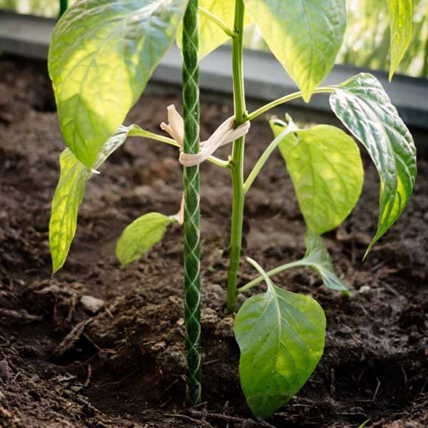 Палка пластиковая  90см LCSP-8-90/100/LISTOK