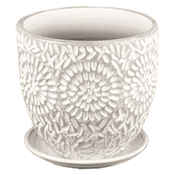 Астра бутон бел/жемч 4л/575633