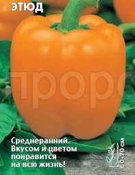 Перец сладкий Этюд 0,3г Перец сладкий Этюд 0,3г