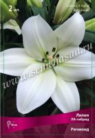Лилия ЛА-Гибрид Ричмонд (14/16) 2 шт
