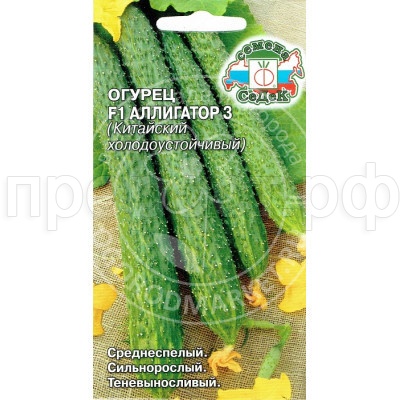 Огурец Аллигатор 3 F1 (Китайский холодоустойчивый) 0,2г Огурец Аллигатор 3 F1 (Китайский холодоустойчивый) 0,2г