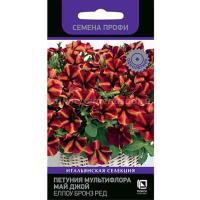 Петуния мультифлора Май Джой Еллоу Бронз Ред 5шт