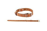 Ошейник кожа 25мм 1сл Стандарт безразмерный до 56см/010125