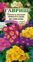 Гавриш Примула Эрфуртские великаны 20шт