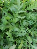 Каприс Пряность Рукола Сицилия 20*0,5 г 