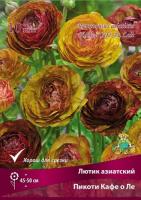 Лютик Пикоти Кафе о Ле 7-8 10шт