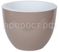 орион фраппе орион фраппе