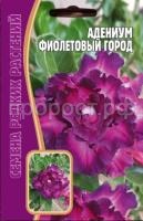 Адениум Фиолетовый Город 3 шт Редкие растения