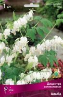 Дицентра великолепная Альба Дицентра великолепная Альба
