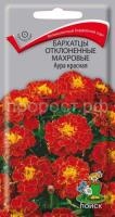 Бархатцы отклоненные махровые Аура красная