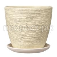 гнездо шампань крокус