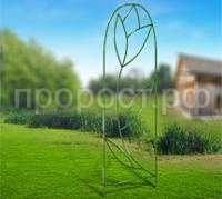 тюльпан 1 тюльпан 1