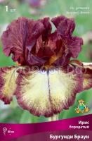 Ирис бородатый Бургунди Браун_бордо Ирис бородатый Бургунди Браун_бордо