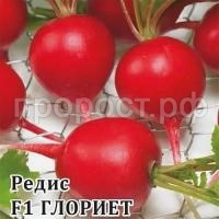 Редис Глориет F1 1000 шт