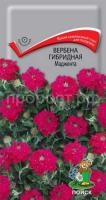 Вербена гибридная Маджента Вербена гибридная Маджента