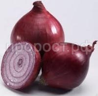 Без названия