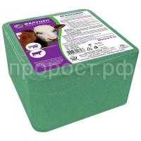 a3177d7b_88d4_11eb_95c5_40f2e9da4fe5_979e08a0_a05f_11eb_95c6_40f2e9da4fe5.resize1 a3177d7b_88d4_11eb_95c5_40f2e9da4fe5_979e08a0_a05f_11eb_95c6_40f2e9da4fe5.resize1