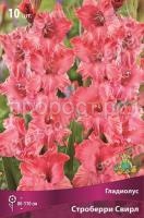 m99pmner6g94drvbsf6wykyqbv2d6qer m99pmner6g94drvbsf6wykyqbv2d6qer