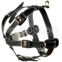 З171545_1 З171545_1