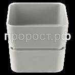 фиори-1-серый-жемчуг_list