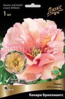 НоменклатураПрисоединенныеФайлы НоменклатураПрисоединенныеФайлы