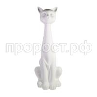 кошка бел кошка бел