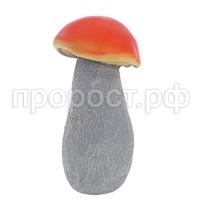 Подосиновик мал Подосиновик мал