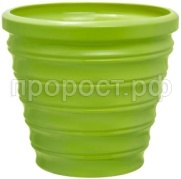 бамбук зел бамбук зел