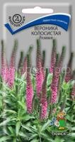 Вероника колосистая Розовая Вероника колосистая Розовая