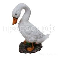 утка домашняя утка домашняя