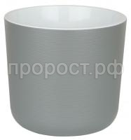 лион серый муссон лион серый муссон