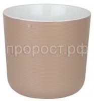 лион фраппе лион фраппе