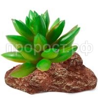 З171582_0 З171582_0