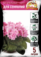 сенп 5 сенп 5