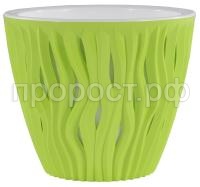 фисташковый 11 фисташковый 11