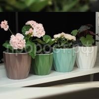 Флюте 3л Флюте 3л