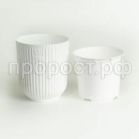 iawa_vipset_5-1000x1000