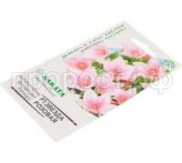 Без названия (8)