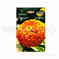 Цинния Мишутка оранжевая 201 Каприс Цинния Мишутка оранжевая 201 Каприс