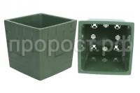 квадро нефрит квадро нефрит