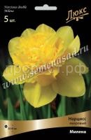 Нарцисс Милена