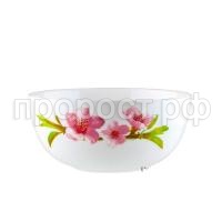 c7c0d2776e3285b26cba102506808937 c7c0d2776e3285b26cba102506808937