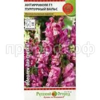 Без названия Без названия