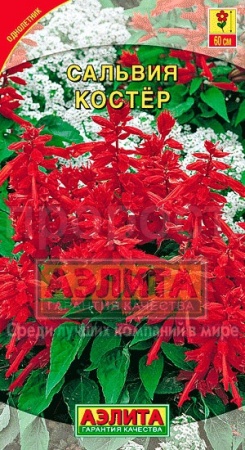 Сальвия Костер 0,1г 