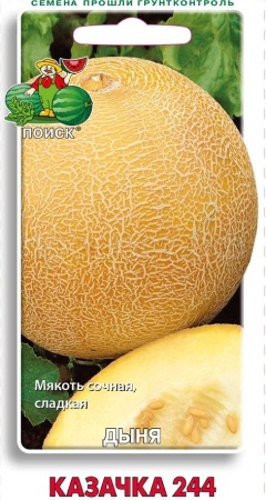 Дыня Казачка 244 15шт 