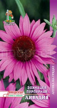 Эхинацея Пурпурная Ливадия 20шт
