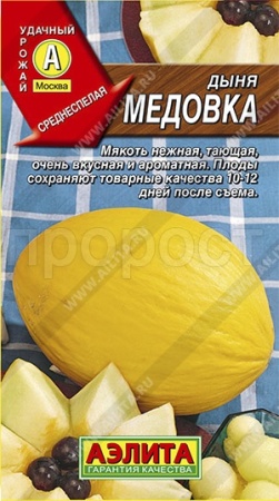 Дыня Медовка 
