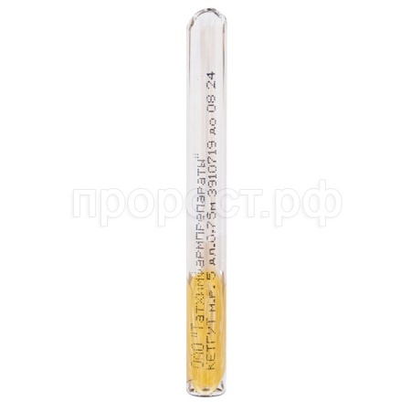 Кетгут простой полированный в ампулах мононить рассас №5, 0,75м/ВИК